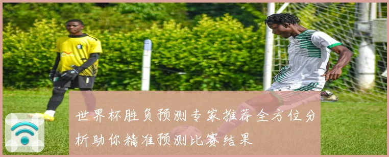 世界杯胜负预测专家推荐全方位分析助你精准预测比赛结果